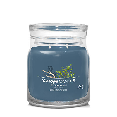 Yankee Candle - Aromatická svíčka Signature sklo střední Bayside Cedar 368 g