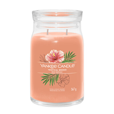 Yankee Candle - Aromatická svíčka Signature sklo velké Tropical Breeze 567 g