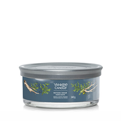 Yankee Candle - Aromatická svíčka Signature tumbler střední Bayside Cedar 340 g