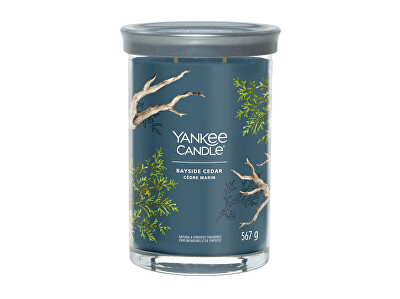 Yankee Candle - Aromatická svíčka Signature tumbler velký Bayside Cedar 567 g