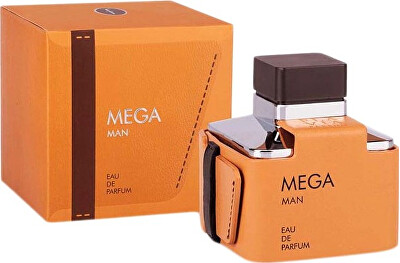Flavia - Mega Man - EDP