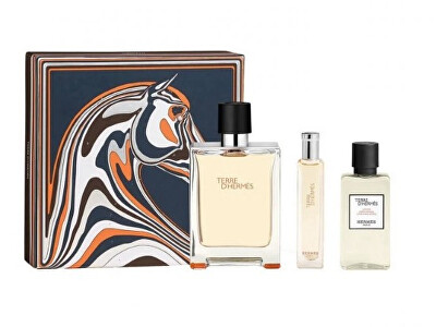 Hermes - Terre D´ Hermes - EDT 100 ml + voda po holení 40 ml + EDT 15 ml