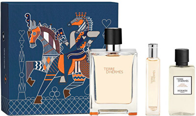 Hermes - Terre D´ Hermes - EDT 100 ml + aftershave 40 ml + EDT 15 ml