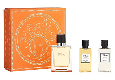 Hermes - Terre D´ Hermes - EDT 50 ml + sprchový gel 40 ml + voda po holení 40 ml