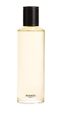 Hermes - Terre D`Hermès Intense - EDP (náplň)