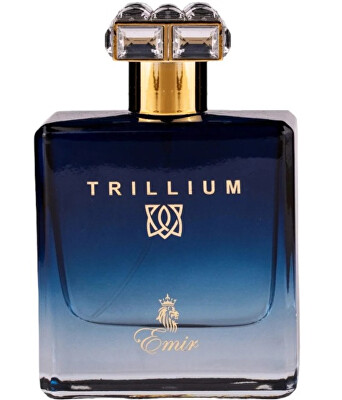 Paris Corner - Trillium - EDP