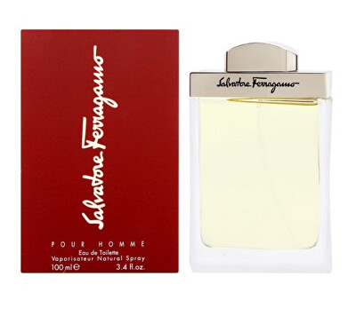 Salvatore Ferragamo - Pour Homme - toaletní voda s rozprašovačem