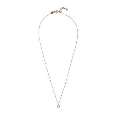 Alisia - Něžný pozlacený náhrdelník s kubickou zirkonií AL4831-Oro