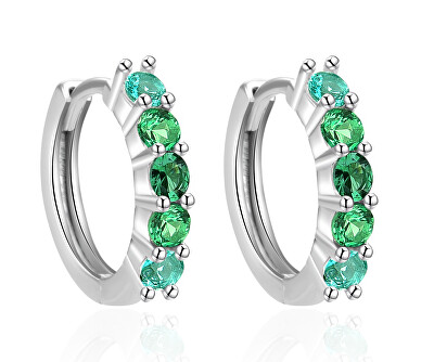 Agato - Blyštivé stříbrné náušnice kruhy AGT-E131KGR