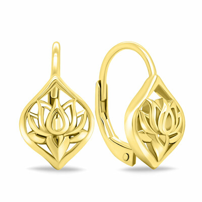 Brilio Silver - Krásné pozlacené visací náušnice EA700Y