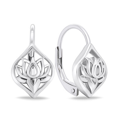 Brilio Silver - Krásné stříbrné visací náušnice EA700W