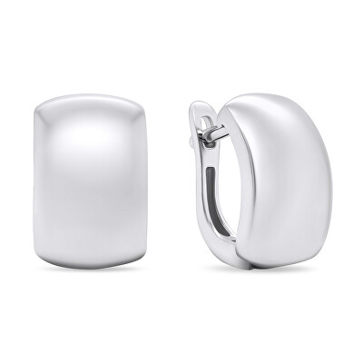 Brilio Silver - Módní stříbrné visací náušnice EA673W