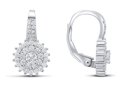 Brilio Silver - Okouzlující stříbrné náušnice se zirkony EA54
