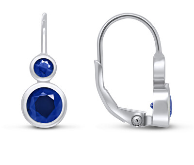 Brilio Silver - Stříbrné náušnice s tmavě modrými zirkony EA63WB