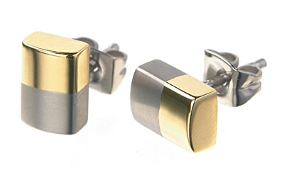 Boccia Titanium - Pozlacené titanové náušnice 0509-03