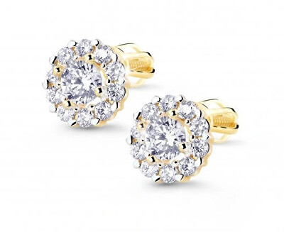 Cutie Jewellery - Krásné náušnice ze žlutého zlata se zirkony Z8040-30-10-X-1