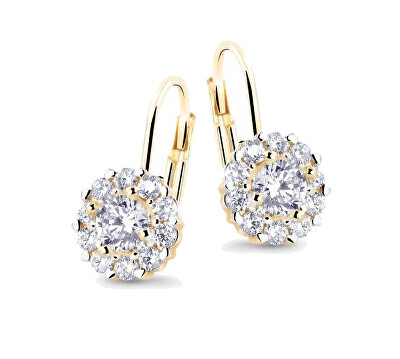 Cutie Jewellery - Krásné náušnice ze žlutého zlata se zirkony Z8040-55-10-X-1