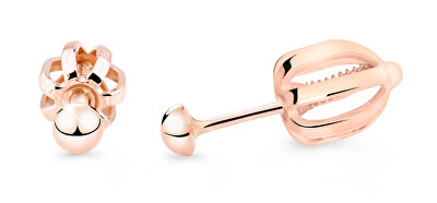 Cutie Jewellery - Peckové náušnice z růžového zlata Z5003-30-X-4