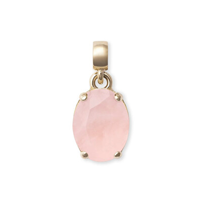 Daniel Wellington - Půvabný pozlacený přívěsek s růženínem Charms DW00401459