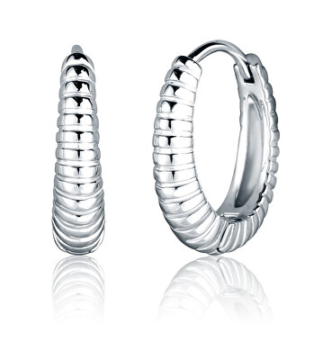 JVD - Slušivé stříbrné kruhy SVLE2405XK20000