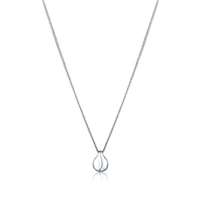 JVD - Stříbrný náhrdelník pro ženy SVLN0509XK20045
