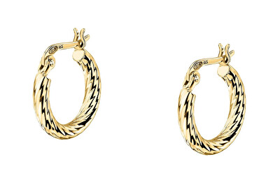 Morellato - Stylové broušené kruhy ze stříbra Tesori SAIW252