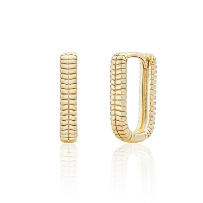 Sparkling Jewels - Pozlacené visací náušnice EAG25