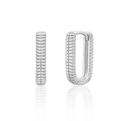 Sparkling Jewels - Stříbrné visací náušnice EAS25