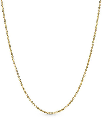 Pandora - Elegantná pozlátená retiazka Anker Shine 368727C00-45