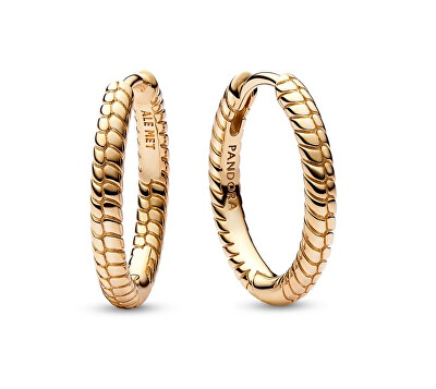 Pandora - Pozlacené náušnice na přívěsky Moments 262728C00