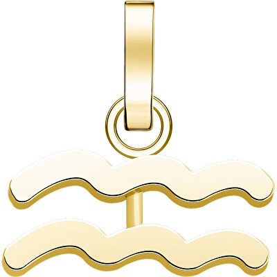 Rosefield - Ocelový přívěsek Vodnář The Pendant PE-Gold-Aquarius-S