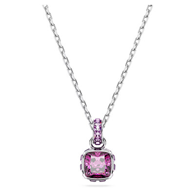 Swarovski - Slušivý náhrdelník pro ženy narozené v únoru Birthstone 5651708