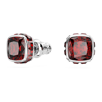 Swarovski - Třpytivé náušnice pro ženy narozené v lednu Birthstone 5660798