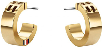 Tommy Hilfiger - Fashion pozlacené náušnice kruhy TH2780418