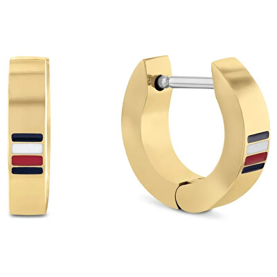 Tommy Hilfiger - Pozlacené kruhové náušnice Men`s Earrings 2790586