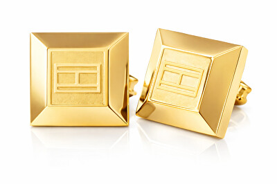Tommy Hilfiger - Pozlacené náušnice TH2700646
