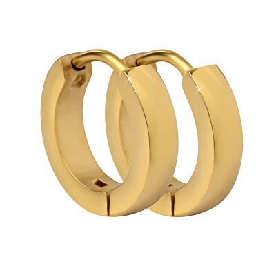 Troli - Pozlacené ocelové náušnice kroužky