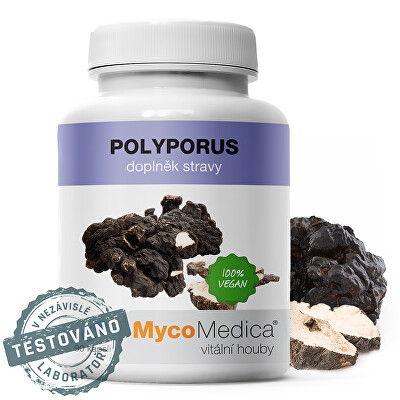 MycoMedica - Polyporus 90 kapslí