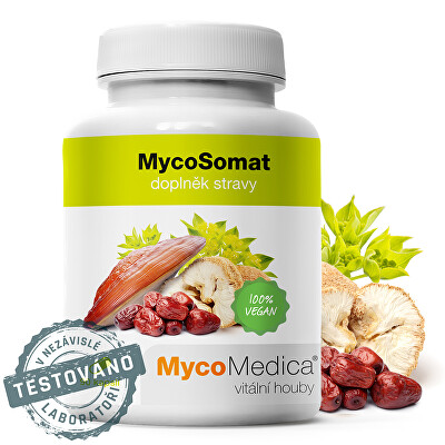 MycoMedica - MycoSomat 90 kapslí