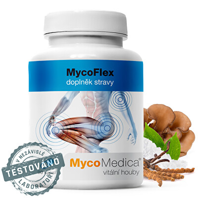 MycoMedica - MycoFlex 90 kapslí