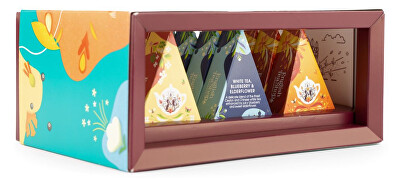 English Tea Shop - Dárková kolekce Wellness 12 pyramidek BIO