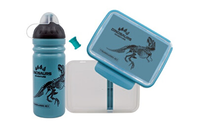 R&B - SET T-REX 0,7 l