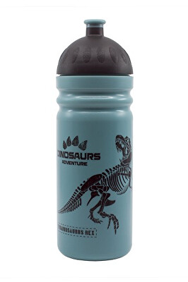 R&B - Zdravá lahev T-REX 0,7 l