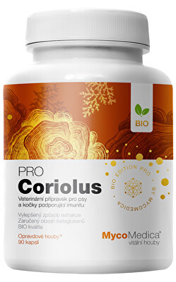 MycoMedica - BIO Coriolus PRO 90 kapslí