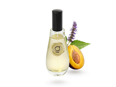 goda - Osvěžovač Grud švestka & pačule 100 ml