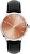 Analogové hodinky AW100-11