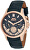 Analogové hodinky SL.09.6008.2.01
