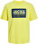 T-shirt da uomo JCOLOGAN Standard Fit 12253442 Lemon Verbena