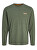 Pánské triko JJALVIS Standard Fit 12259735 Kombu Green