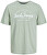 Tricou pentru bărbați JJFOREST Standard Fit 12247972 Desert Sage
